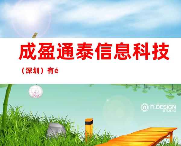 成盈通泰信息科技(深圳)有限公司